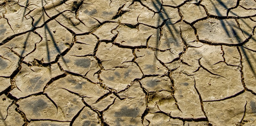 Dry Earth